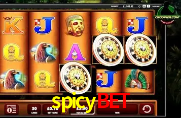 Apostas Esportivas na spicybet: Um Guia Completo